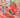 Watermelon & Lillies | 24 x 24
